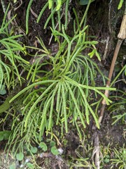 Inca Trail & Machu Picchu in Peru - April 2024