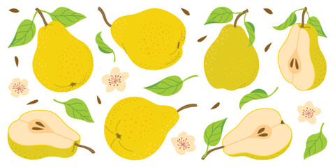 Hand drawn colorful pear set, whole and cut fruit, flowers, leaves. Trendy flat style isolated on white for textiles, labels, posters, web. Ripe juicy pears. Vegetarian organic food. Vector illustr
