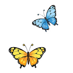 Obraz premium Butterflies Hand Drawn Cartoon Style Illustration