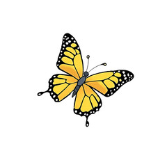 Butterfly Hand Drawn Cartoon Style Illustration