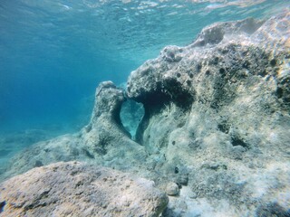 Un bacio sotto l'acqua.
La bellezza della natura