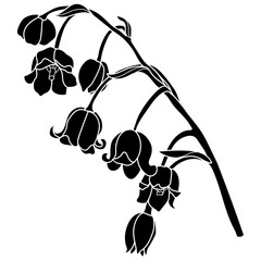 A series of isolated flower in cute hand drawn style. Silhouette Lily of the valley branch on transparent background. Drawing of floral elements for coloring book or fragrance design. Volume 1.