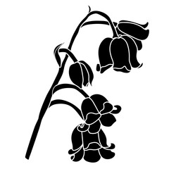 A series of isolated flower in cute hand drawn style. Silhouette Lily of the valley branch on transparent background. Drawing of floral elements for coloring book or fragrance design. Volume 3.