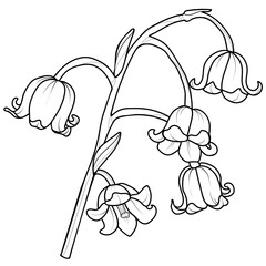 A series of isolated flower in cute hand drawn style. Lily of the valley branch in black outline and white plain on transparent background. Floral elements for coloring book or fragrance. Volume 2.