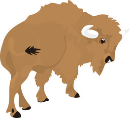 Elegant Bison Vector Images Suitable for Design Illustrators