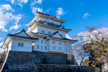 Fototapeta premium 日本の神奈川県にある難攻不落の城といわれた、小田原城の風景