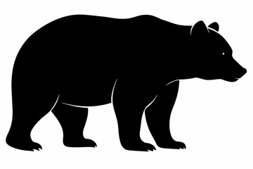 silhouette of a bear vector illustration