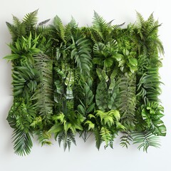 A lush green wall of various tropical plants and ferns.