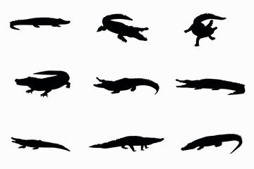 crocodile silhouettes