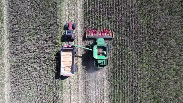 Aerial video of combine harvesters working during the harvest season in a large mature cereal field in Argentina.
