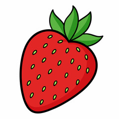 strawberry vector illustration