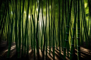 bamboo forest background - obrazy, fototapety, plakaty