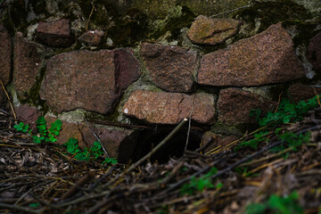 the stonework of the sewer in the old park