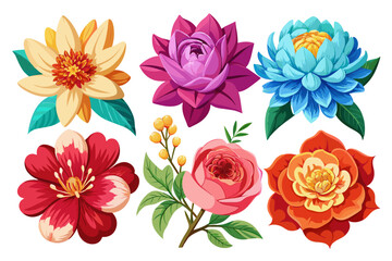 6-set-of-veristic-flower-vector illustration