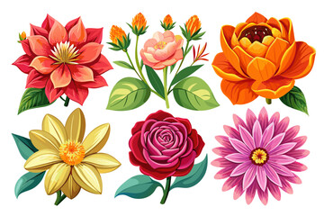 6-set-of-veristic-flower-vector illustration