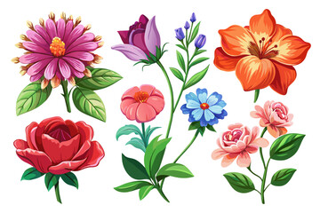 6-set-of-veristic-flower-vector illustration