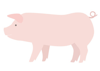 Simple illustration of a pig seen from the side