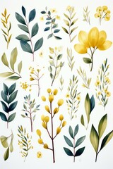 b'A Collection of Hand-Painted Watercolor Flowers and Leaves'