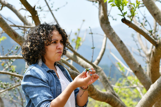 Mujer Guatemalteca comiendo una fruta llamada "Jocote", durante la temporada de cosecha en Guatemala. 
