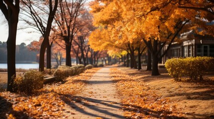 Fototapeta premium b'Fall Scenery of Trees and Leaves in Autumn Colors by the Lake'