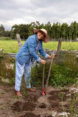 Unrecognizable woman using a manual excavator to dig holes in her garden and cultivate onions. She is dressed in jeans and a denim jacket