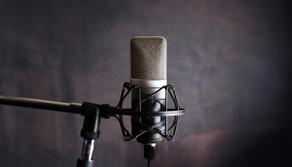 A professional microphone against a dark, textured backdrop, highlighting the mic’s detailed design and structure - obrazy, fototapety, plakaty