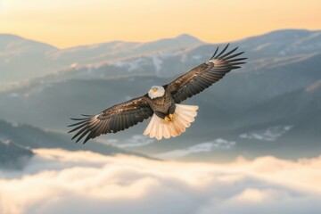 Obraz premium b'majestic bald eagle soars above the clouds with mountains in the distance'