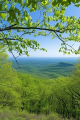 b'Blue Ridge Mountains in Virginia'