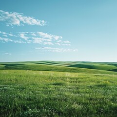 Obraz premium b'Green rolling hills under blue sky'