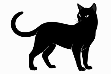 black cat silhouette vector illustration on white background
