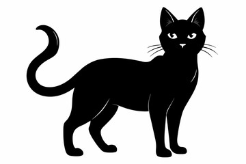 black cat silhouette vector illustration on white background