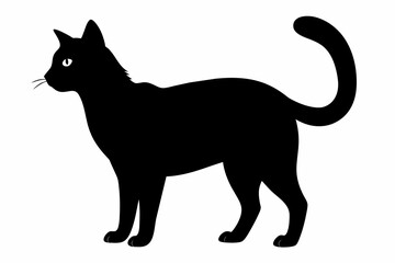 black cat silhouette vector illustration on white background