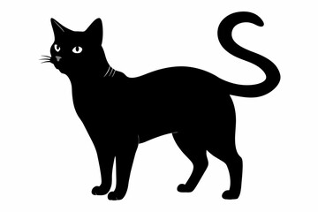 black cat silhouette vector illustration on white background