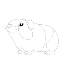 Hamster coloring page for kids