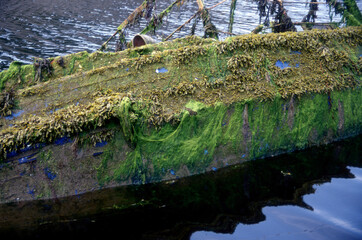 Vermoostes Schiffswrack in einem See in Schottland