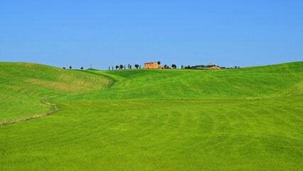 panorama of the Tuscan countryside in the Val d'Orcia in the province of Siena, Italy