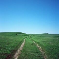 Fototapeta premium b'dirt road through green rolling hills'
