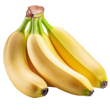 banane, Jaune, Courb&eacute;e, Longue, Douce, Pel&eacute;e, Fruit, Tropical, Sucre, Potassium, Amidon,  Tachet&eacute;e, Musac&eacute;es, Cavendish, Plantain, R&eacute;gime, Bananier, Feuilles,  Bract&eacute;es, Agriculture, Exportation, Mono