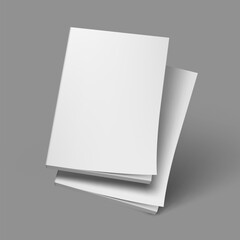 Two Book Or Brochure Clear Cover Template On Gray