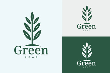 Simple Design Green Leaf Stem Illustration can be used for beauty shops