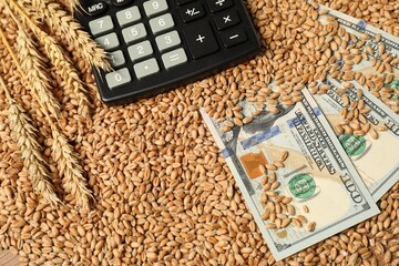 Dollar banknotes, calculator and wheat ears on grains, above view. Agricultural business