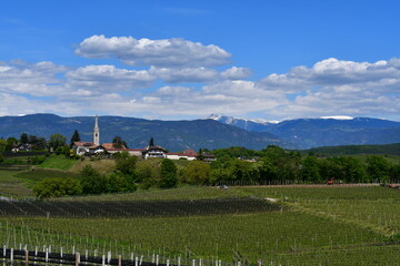 Weinberge und Blick nach Kaltern in Südtirol 