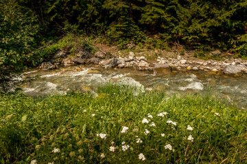 Roadside creek Banff Windermer HWY Kootenay National Park British Columbia Canada