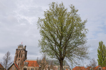 Die Stadt Dordrecht in den Niederlande