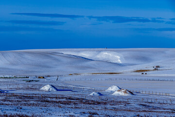 Snowy farmers fields, Rocky View County Alberta Canada