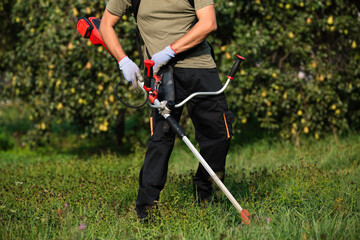 Gardener using a trimmer in an orchard - 796792158