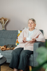 Mature woman holding cup of tea, relaxing at home with dog pet, positive senior female sitting on couch in living room looking satisfied feels good, older generation happy retired time enjoy life.