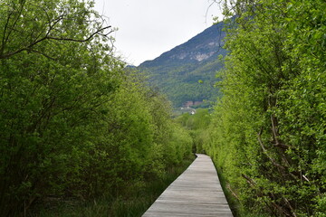 Fototapeta na wymiar Ein Wanderweg um den Kalterer See in Südtirol 
