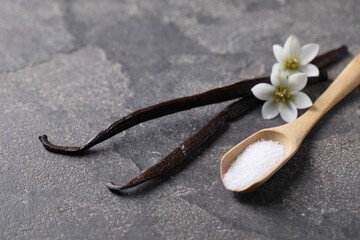Spoon with sugar, flowers and vanilla pods on grey textured table, closeup