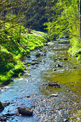 Der Rickenbach an den Scheidegger Wasserfällen bei Scheidegg im Landkreis Lindau (Bayern)
